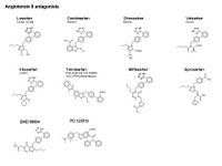 A Drug Toolkit - Angiotensin antagonists PPT Slide