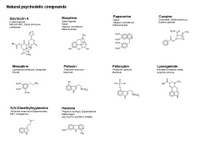 Natural psychodelic compounds PPT Slide
