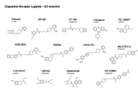 Dopamine Receptor ligands - D3 selective PPT Slide