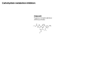 Gluconeogenesis inhibitors PPT Slide