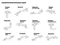Dopamine-Serotonin dual receptor ligands PPT Slide