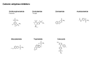 Carbonic anhydrase inhibitors PPT Slide