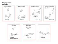 Simple phenolic glycosides PPT Slide