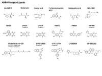 AMPA Receptor ligands PPT Slide