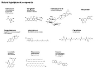 Natural hypolipidemic compounds PPT Slide