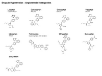 Angiotensin II Antagonists PPT Slide