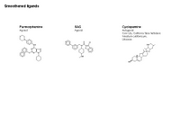 Smoothened ligands PPT Slide