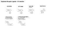 Dopamine receptor ligands - D1 selective PPT Slide