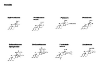 A Drug Toolkit - Steroids PPT Slide