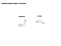 Dopamine Receptor ligands - D4 selective PPT Slide