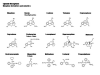 Analgesics I - morphine derivatives PPT Slide