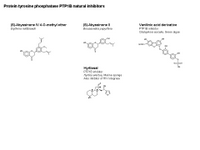 Protein phosphotyrosine phosphatase PTPB1 natural inhibitors PPT Slide