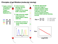 Principles of gel filtration PPT Slide