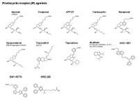 Prostacyclin receptor IP agonists PPT Slide