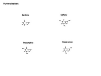 Purine alkaloids PPT Slide