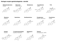 Androgen receptor agonists PPT Slide