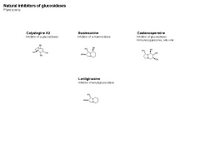 Natural inhibitors of glucosidases PPT Slide